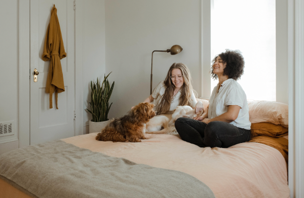 Best Air Filter for Respiratory Allergies