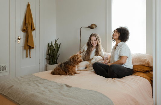 Best Air Filter for Respiratory Allergies